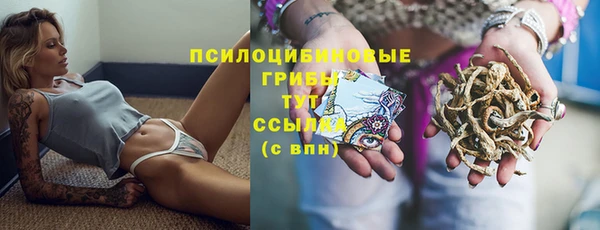 прущие крисы Баксан