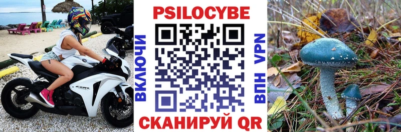 наркошоп  Холм  МЕГА зеркало  Псилоцибиновые грибы MAGIC MUSHROOMS 